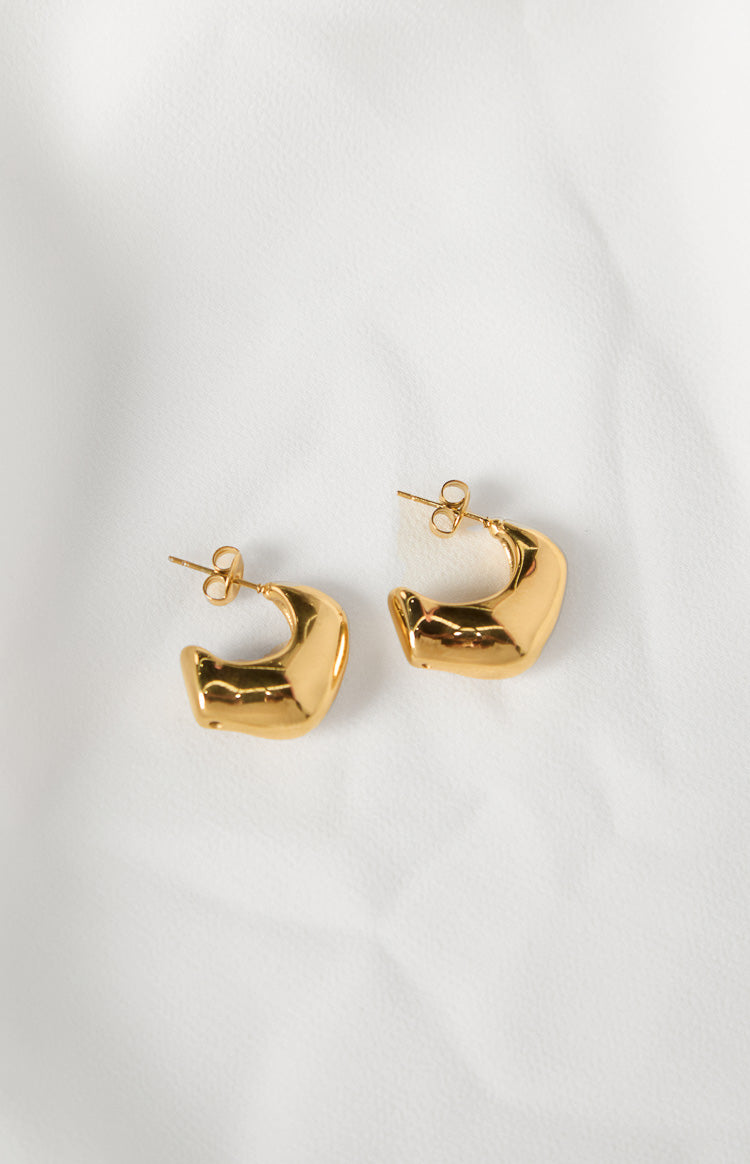 Elaila Gold Hoop Earrings Image