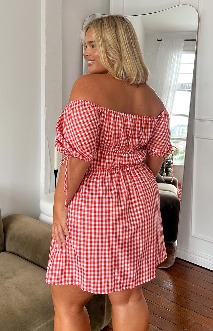 I'm Yours Red Gingham Mini Dress Image
