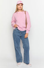 Oxford Pink Knit Sweater Image