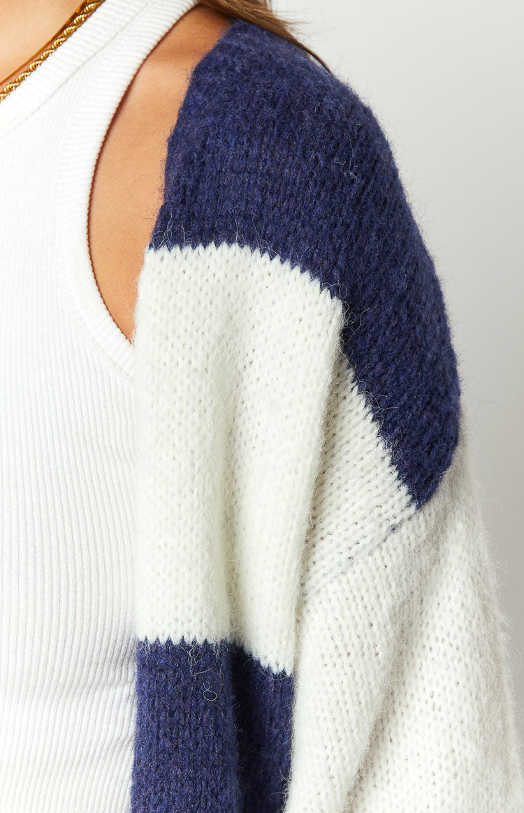 Thaddeus Blue And White Striped Knit Cardigan Image