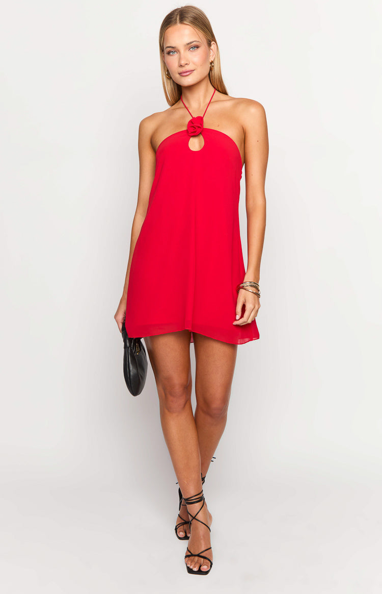 Ashlin Red Halter Mini Dress Image